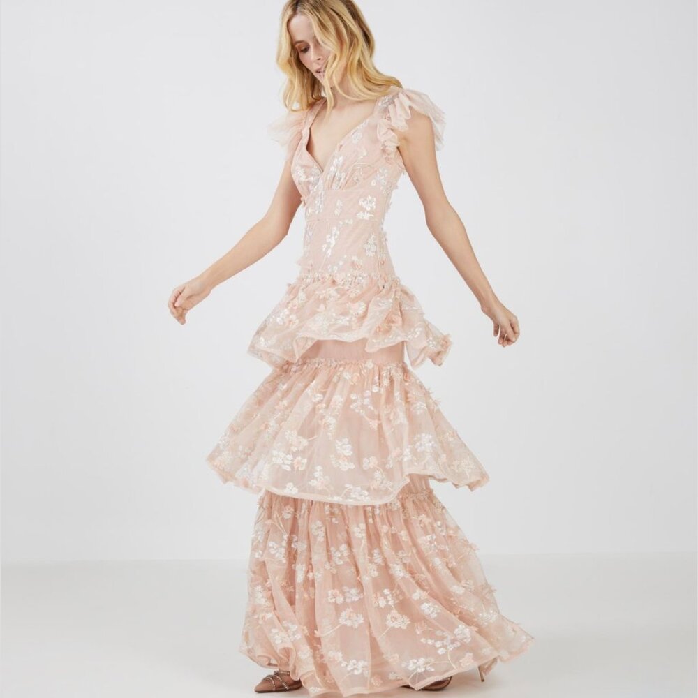 BCBGMAXAZRIA Willow Embroidered Ruffle Evening Dress In Bare Pink